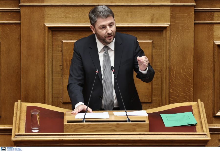 Νίκος Ανδρουλάκης Βουλή