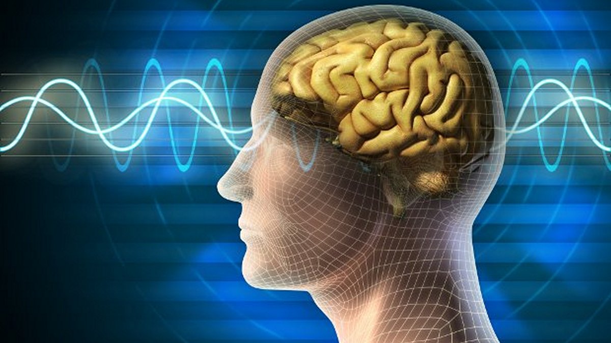 22 Ιουλίου: Παγκόσμια Ημέρα Εγκεφάλου