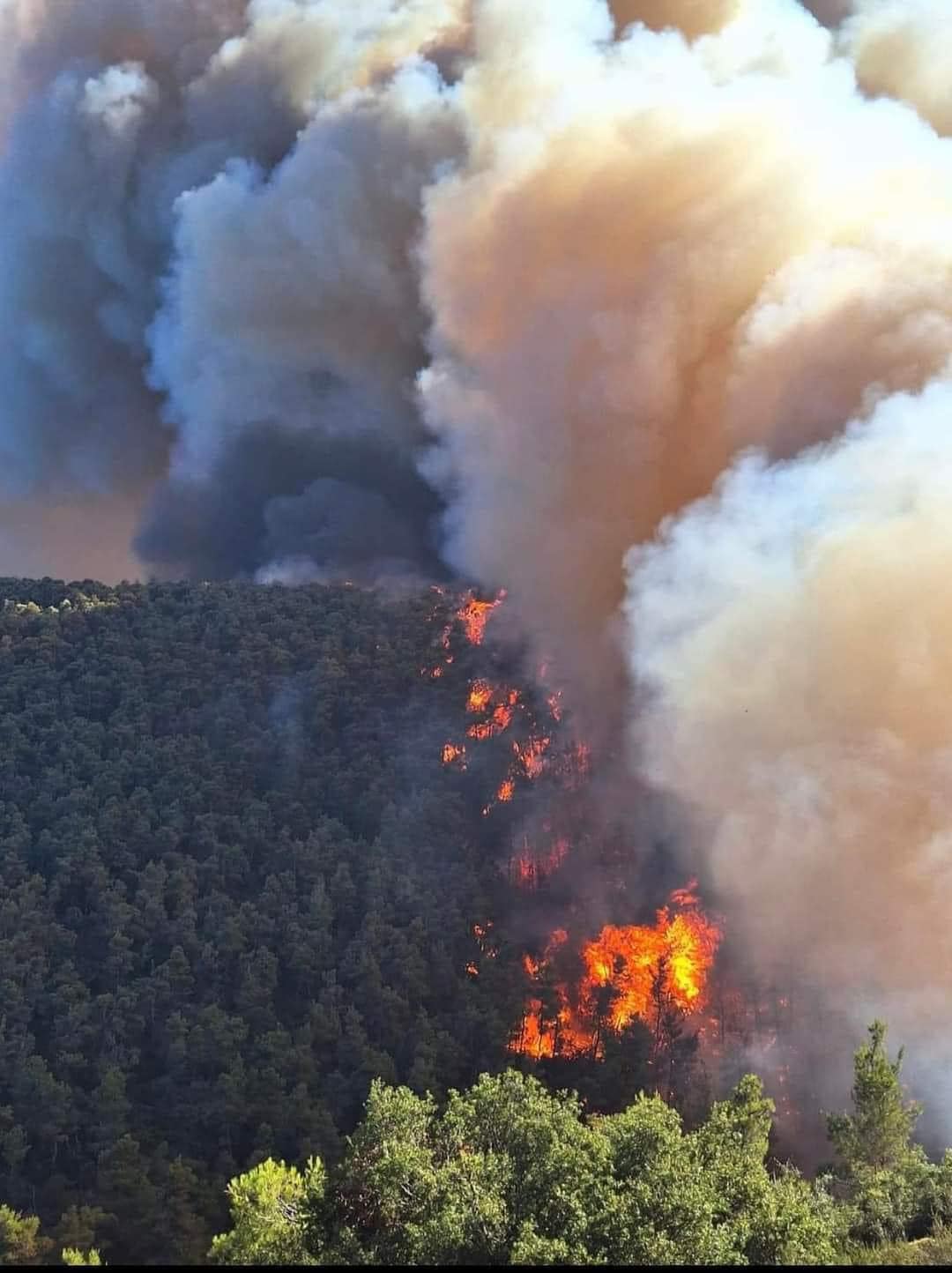 Φωτιά Δερβενοχώρια