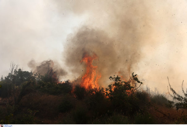 Φωτιά Δερβενοχώρια