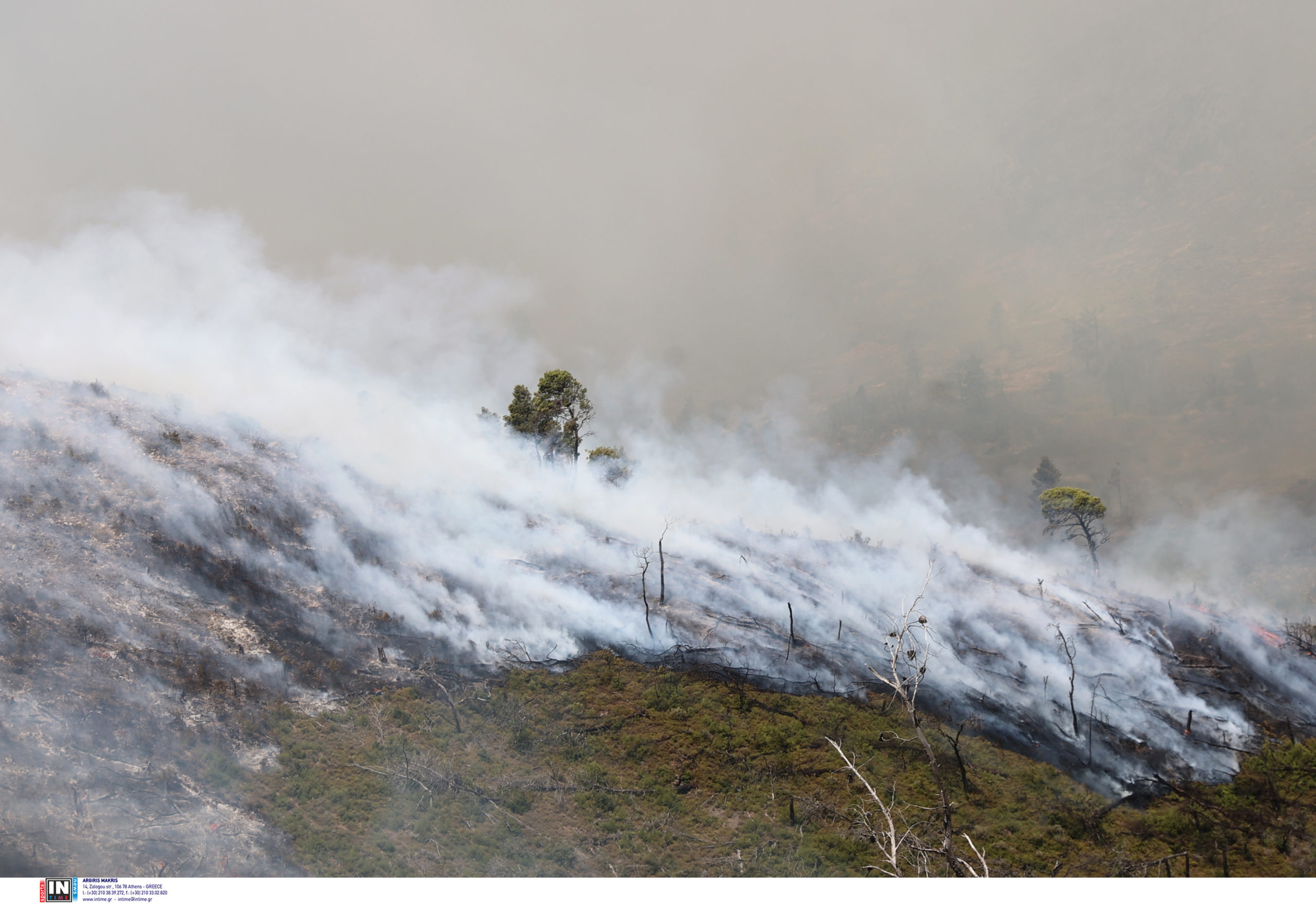 Φωτιά Δερβενοχώρια