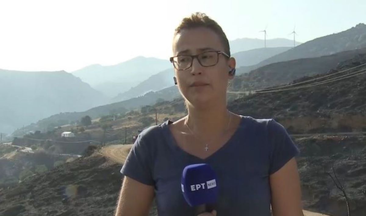 Δημοσιογράφος ΕΡΤ