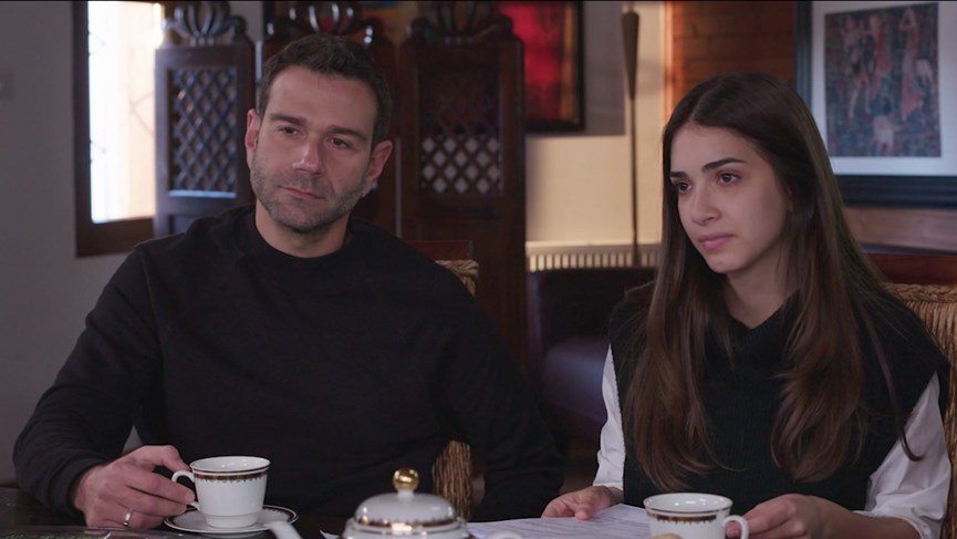 Η Γη της Ελιάς