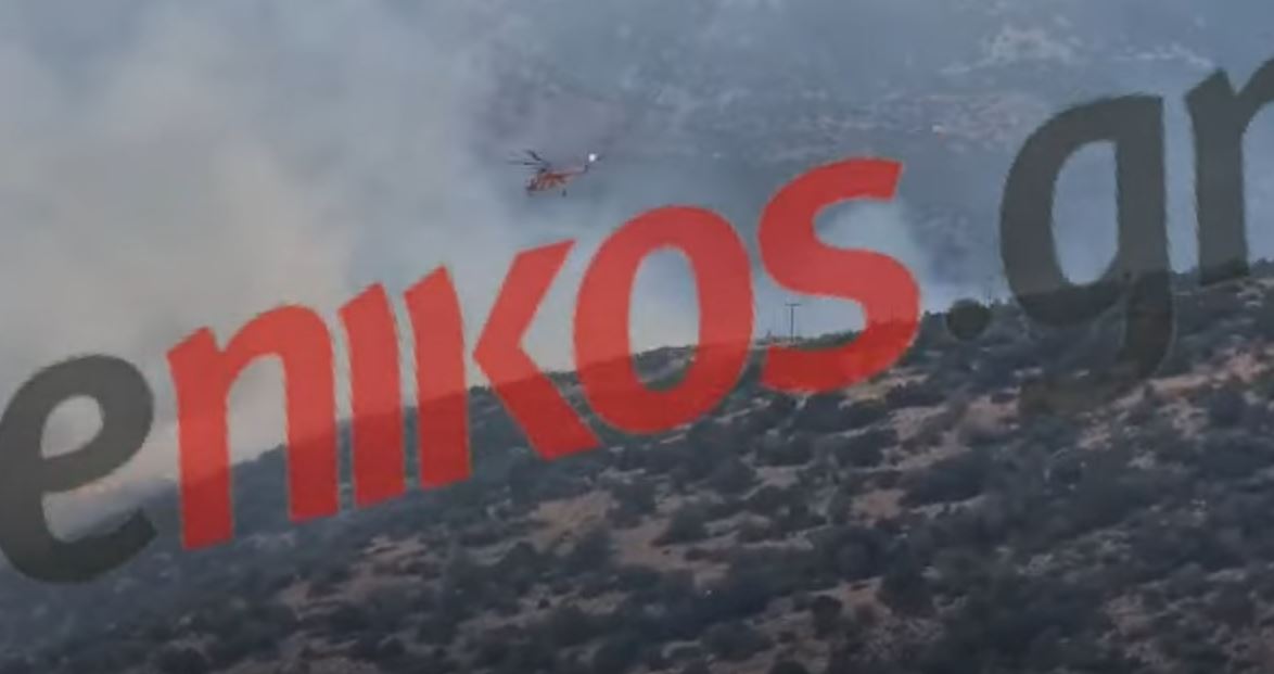 Φωτιά στον Πρόδρομο Βοιωτίας: Η στιγμή που ελικόπτερο πραγματοποιεί ρίψεις νερού – ΦΩΤΟ & ΒΙΝΤΕΟ αναγνώστη