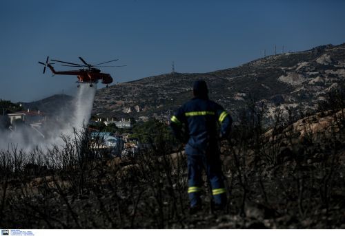 Φωτιά στην Αλεξανδρούπολη – Σηκώθηκε ελικόπτερο για την κατάσβεση