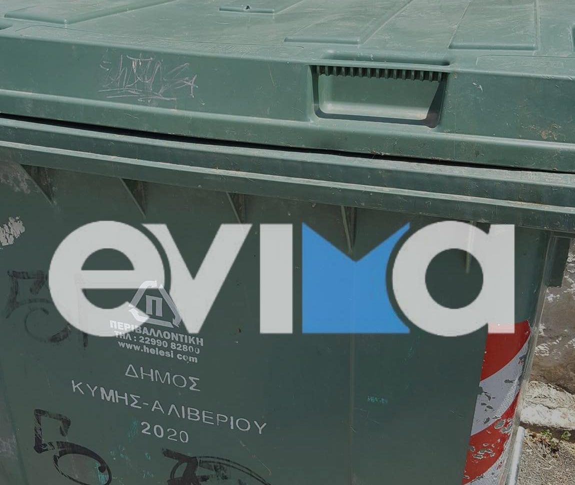 Εύβοια Γατάκια κάδος απορριμμάτων