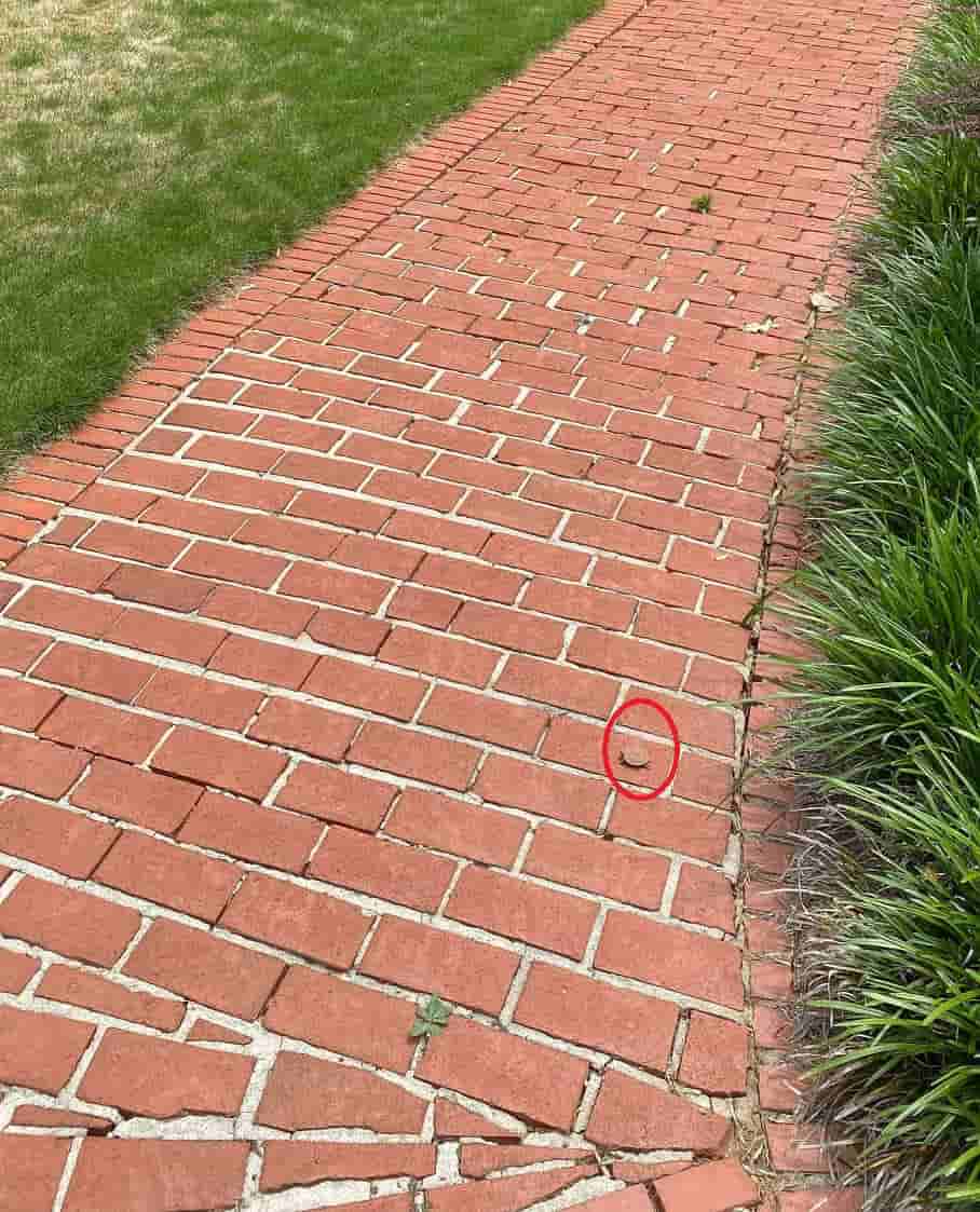 οπτική ψευδαίσθηση