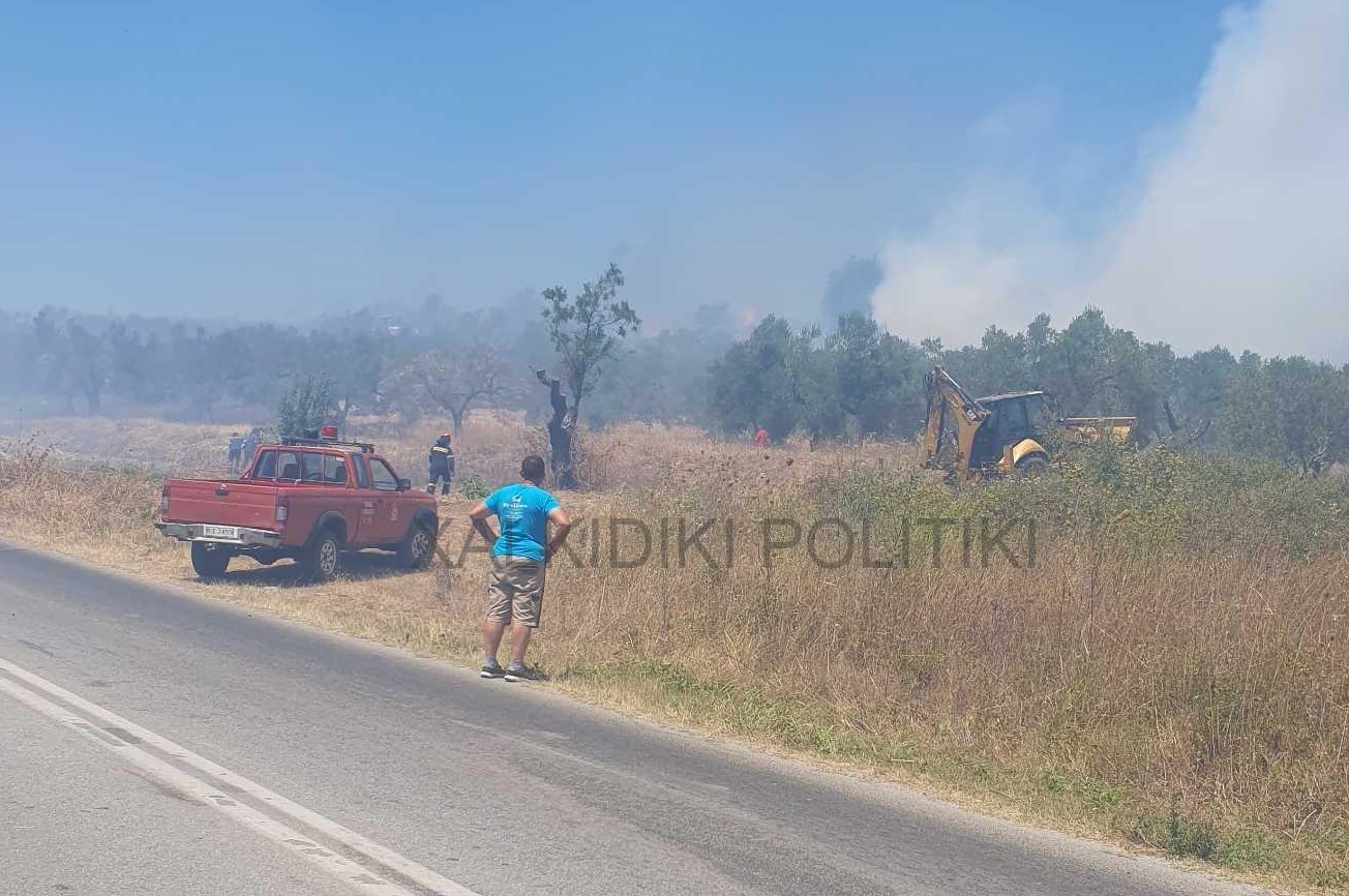 φωτιά Άγιος Νικόλαος Χαλκιδική 2