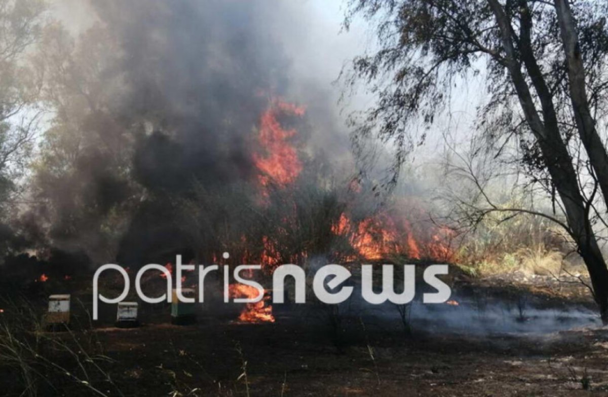 Πάτρα: Υπο μερικό έλεγχο η φωτιά στον Λάππα Αχαίας