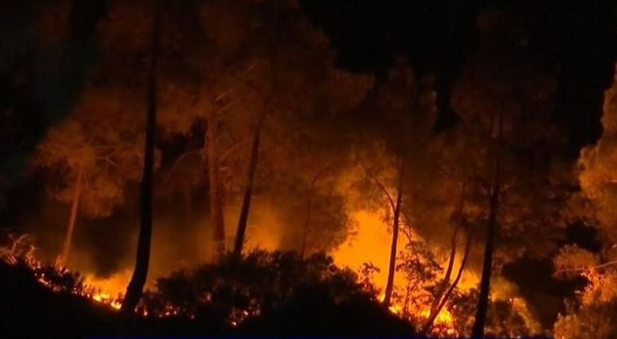 Πύρινος εφιάλτης σε όλη την χώρα: Μάχη με τις φλόγες σε Ρόδο, Κάρυστο, Αίγιο, Βοιωτία και Κέρκυρα – «Τα δύσκολα είναι μπροστά μας»