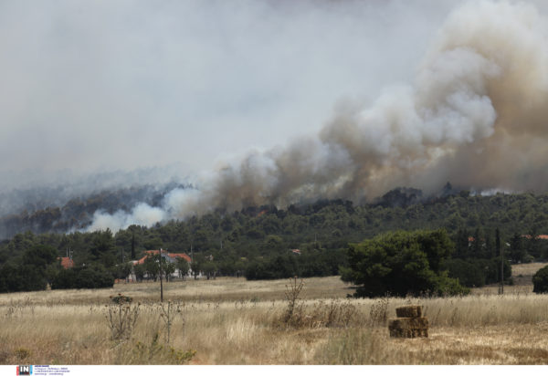 Φωτιά Δερβενοχώρια