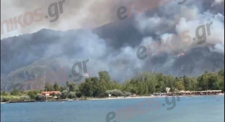 Φωτιά Δερβενάκι Αχαΐας