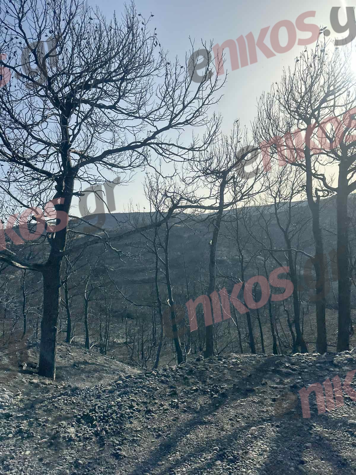 Γεννάδι Ρόδος φωτιά