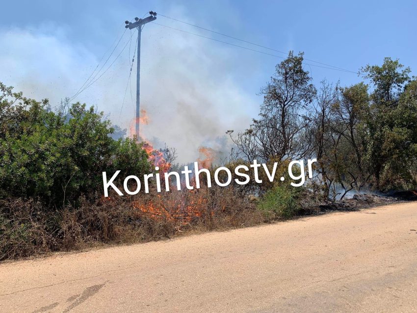 Φωτιά Κορινθία Κουταλάς