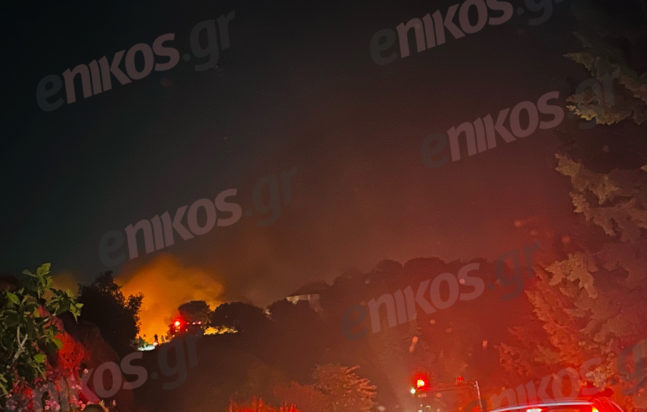 Φωτιά Κορυδαλλός