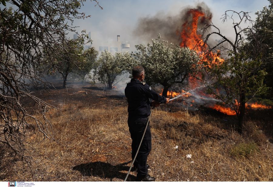 Φωτιά Κουβαράς