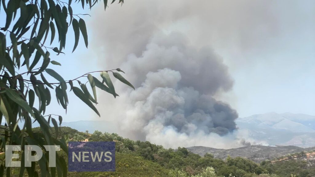 Φωτιά Λακωνία