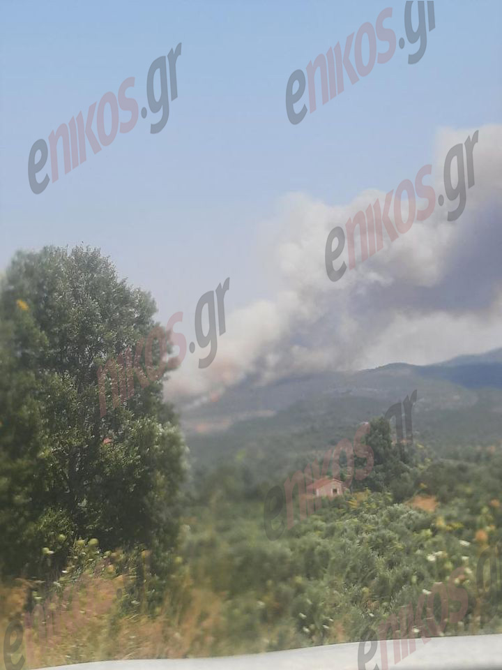 Φωτιά Λακωνία