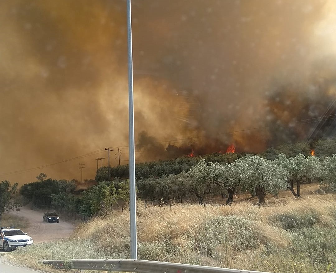 Εξαπλώνεται η φωτιά στην Λαμία: Συγκλονιστικές εικόνες από τα πύρινα μέτωπα
