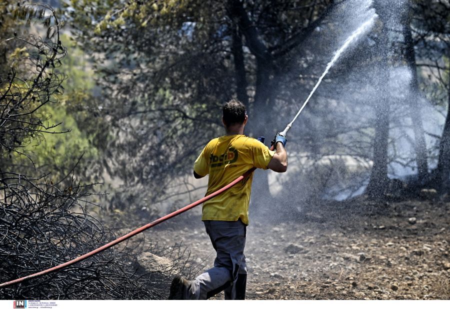 Φωτιά Λουτράκι