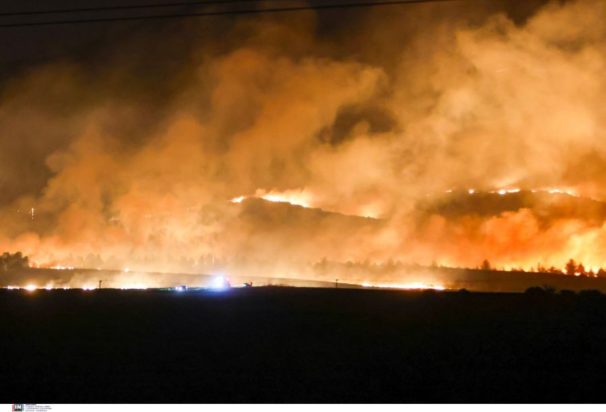 Φωτιά Μαγνησία Νέα Αγχίαλος