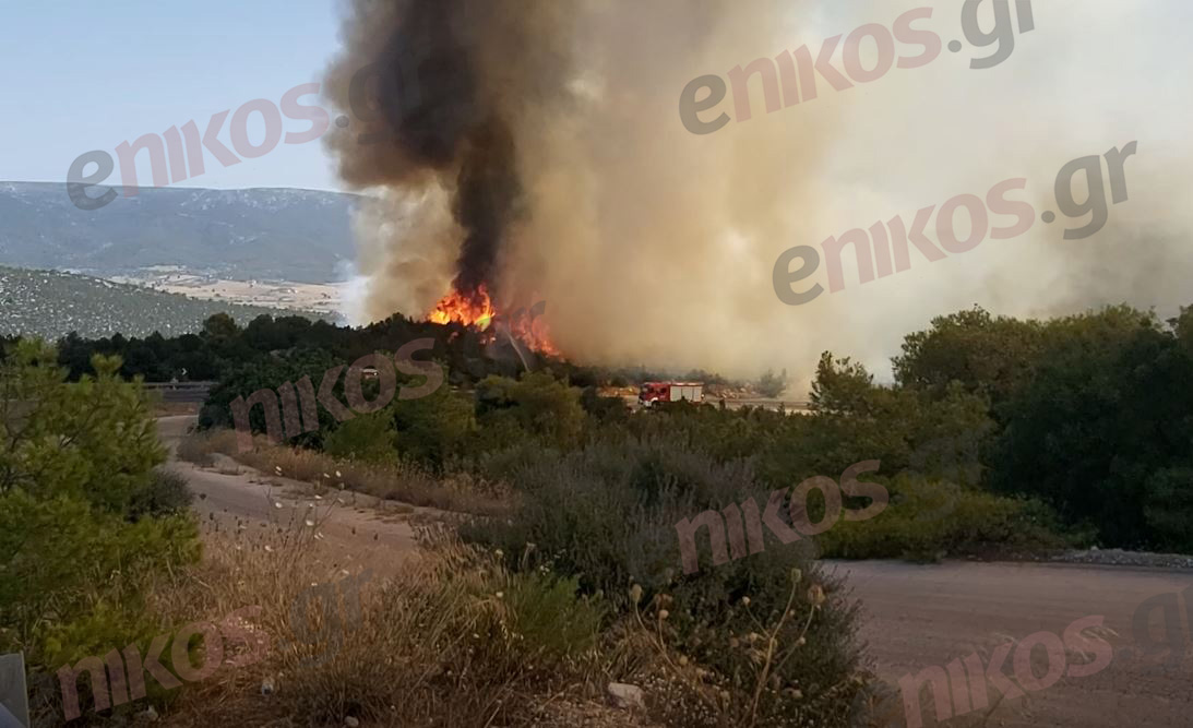 Φωτιά στην Μάνδρα: Αναζωπύρωση στο Καραούλι – ΒΙΝΤΕΟ
