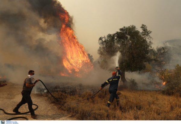 Φωτιά Μάνδρα