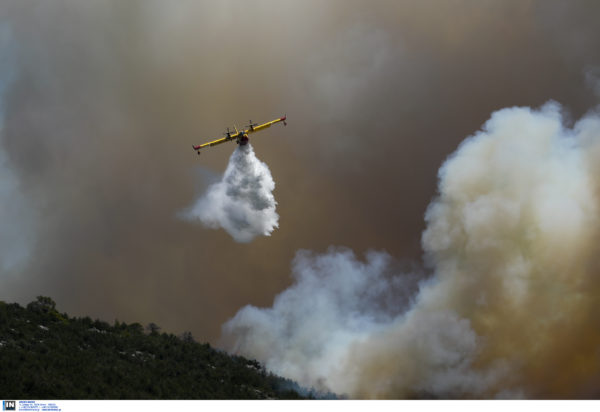 Φωτιά Μάνδρα