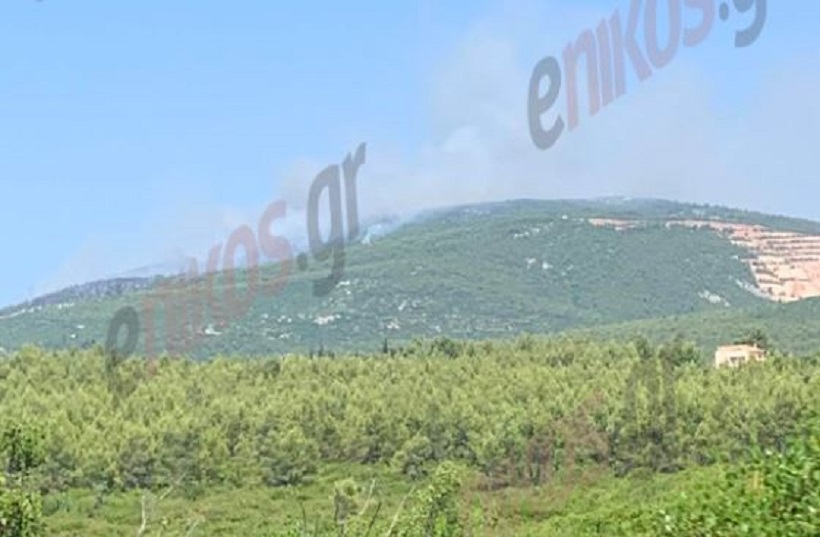 Ωρωπός: Η φωτιά μαίνεται στα όρια Μαρκόπουλου με Πολυδένδρι – «Η περιοχή έχει καεί ξανά στο παρελθόν»