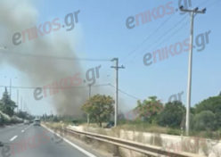 Φωτιά Μαρκόπουλο