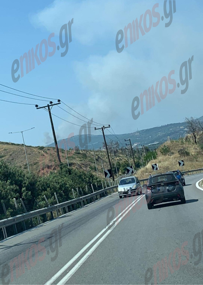 Φωτιά Ωρωπός