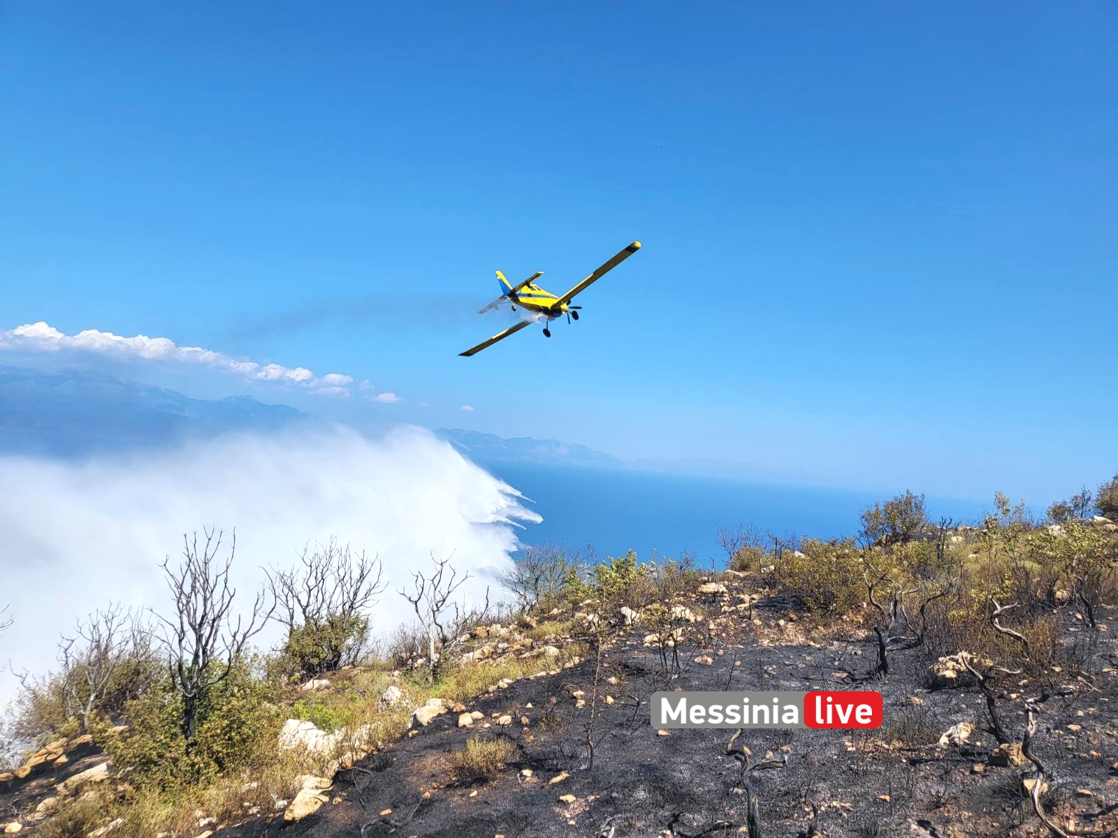 Φωτιά Μεσσηνία