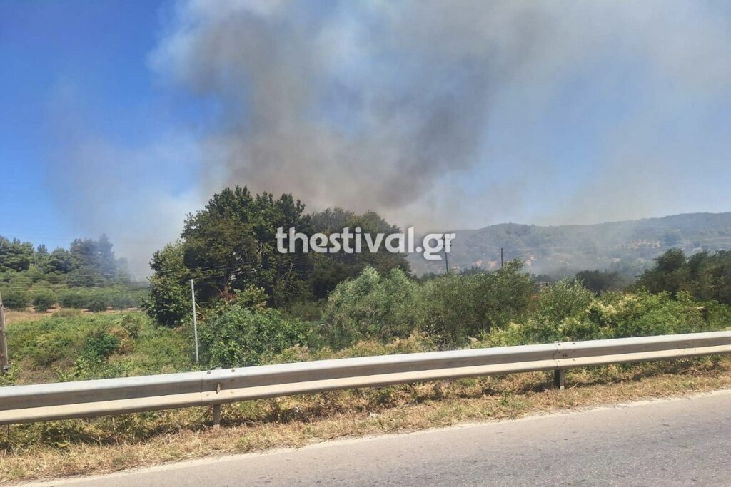 Φωτιά Νικήτη Χαλκιδική