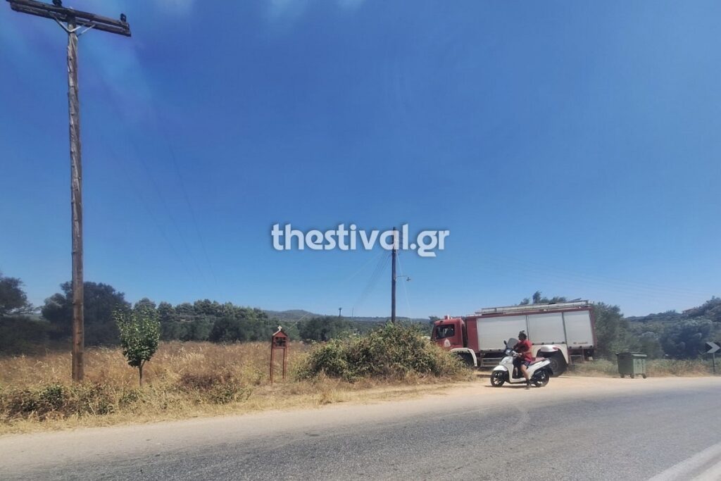 Φωτιά Νικήτη Χαλκιδική