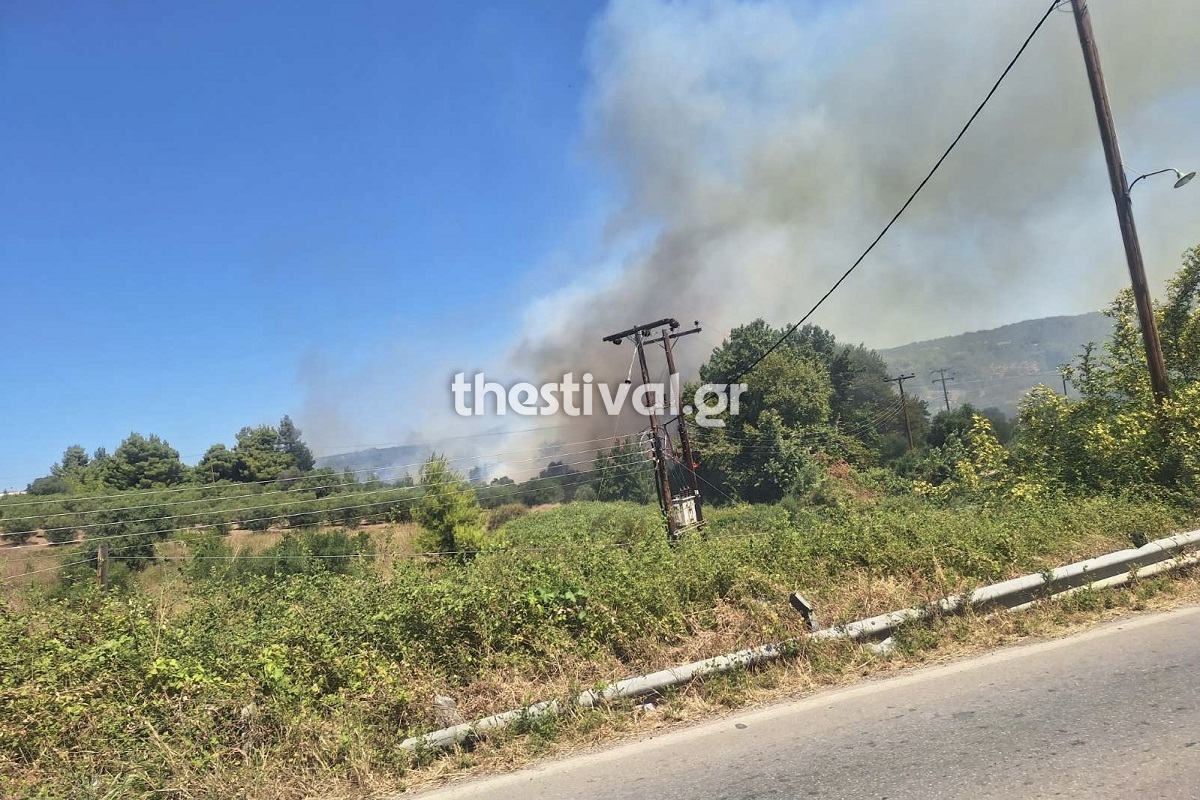 Φωτιά Νικήτη Χαλκιδική