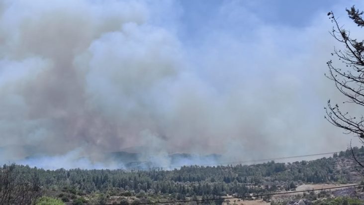 Φωτιά Ρόδος Θάρρι