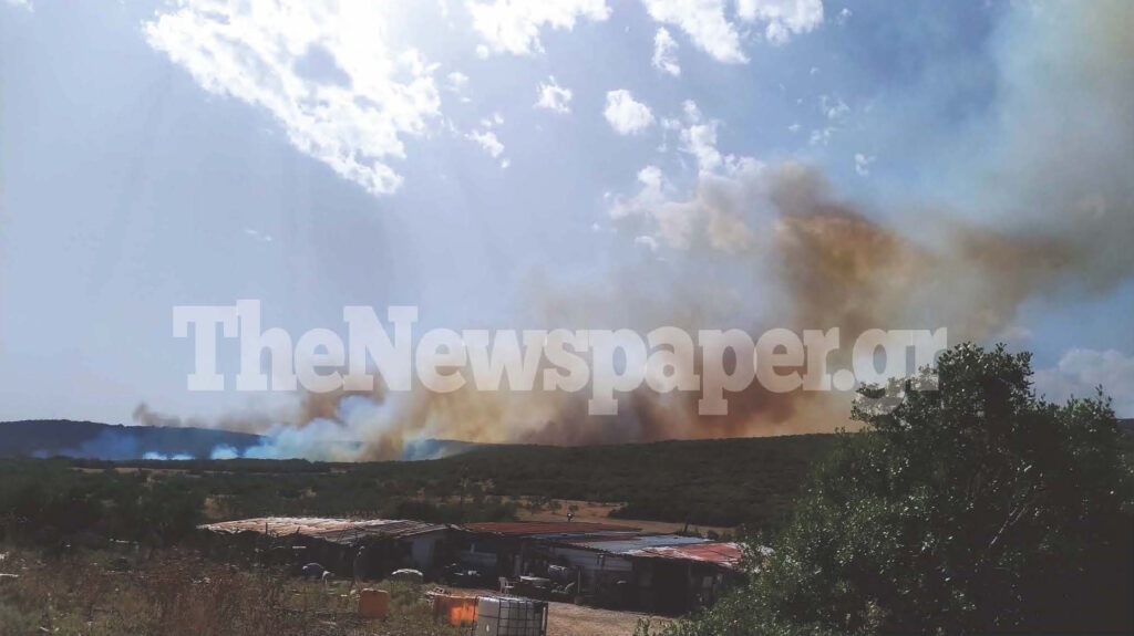 Βόλος: Φωτιά στις Γλαφυρές, στο πεδίο βολής του Στρατού – Αναφορές για εκρήξεις
