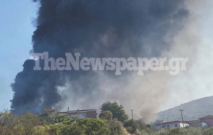 Φωτιά Βόλος Σέσκλο