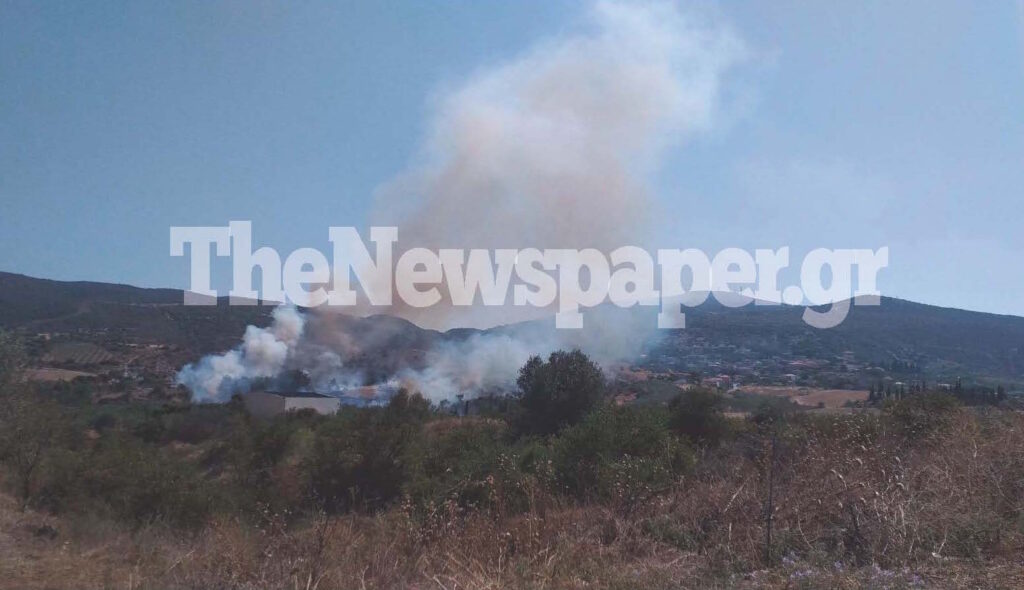 Φωτιά Βόλος Σέσκλο