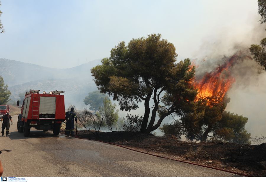 Αναζωπύρωση στα Μέγαρα – Η φωτιά πλησιάζει τα σπίτια σε Άνω Βλυχάδα και Νέα Ζωή