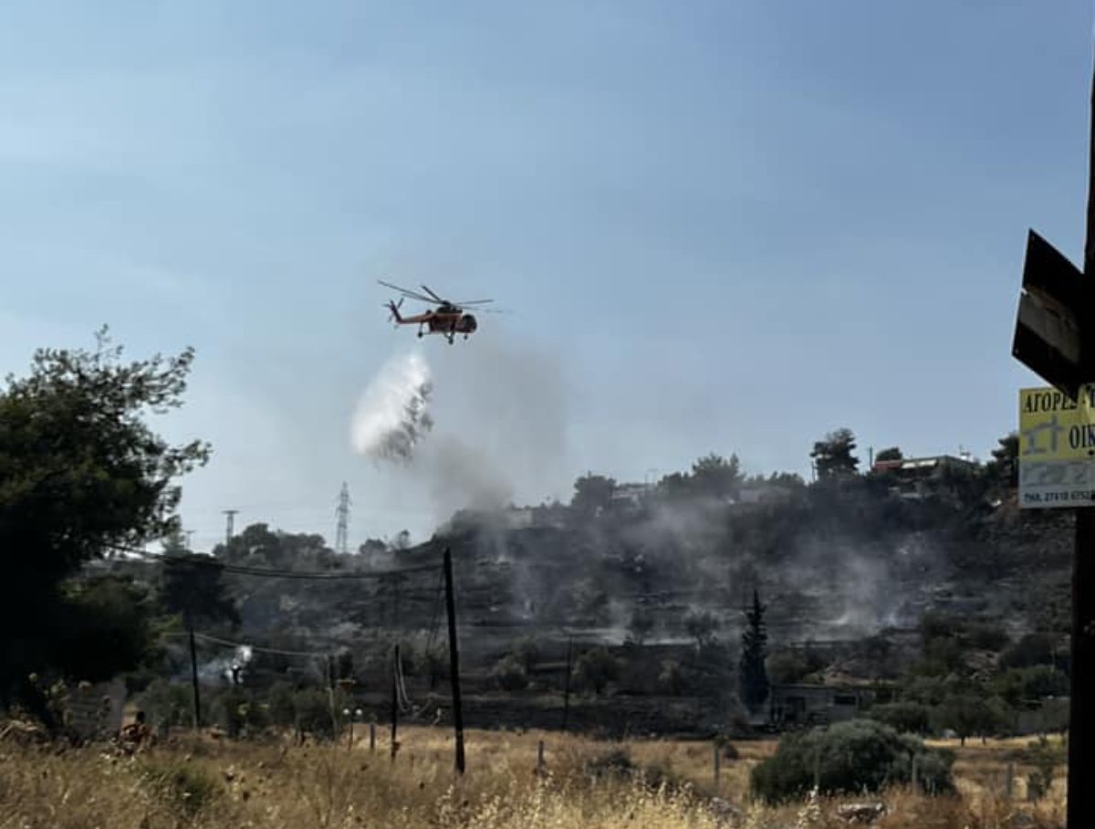 Υπό μερικό έλεγχο η φωτιά στους Αγίους Θεοδώρους – Έφτασε κοντά σε σπίτια – ΦΩΤΟ & ΒΙΝΤΕΟ