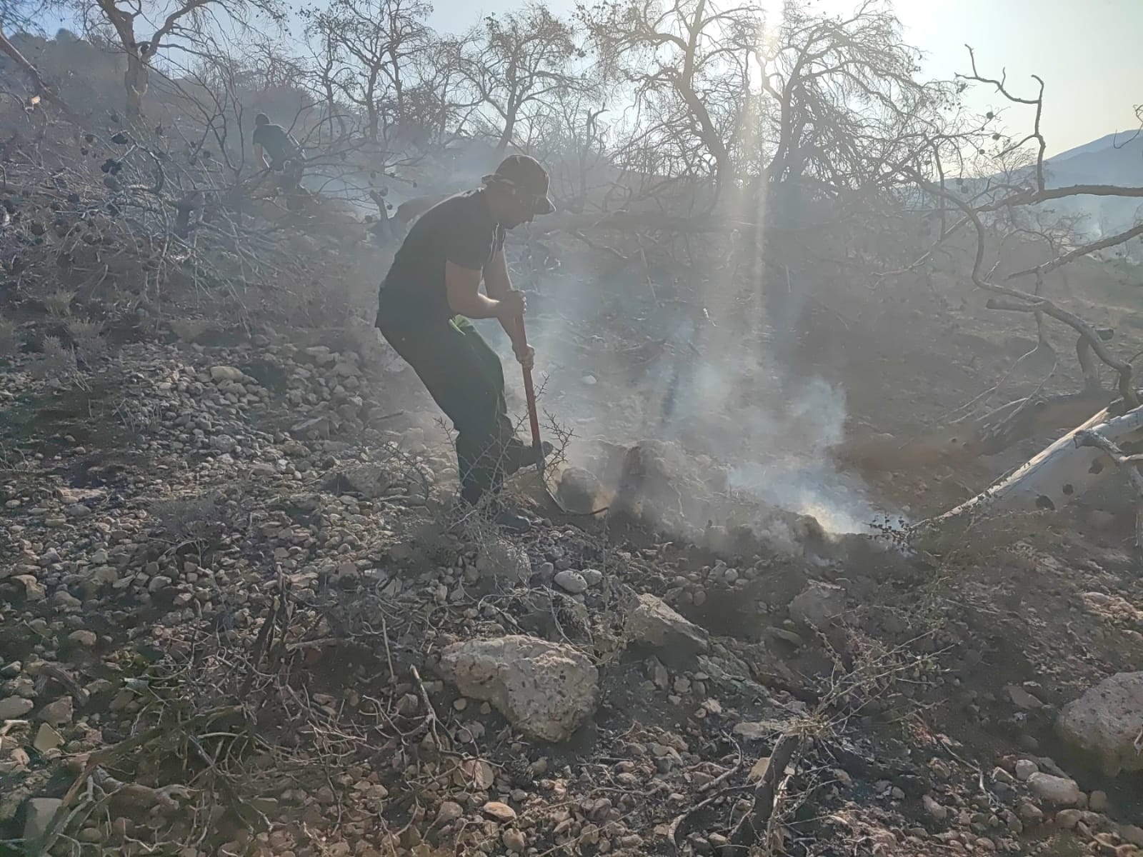 Ένοπλες Δυνάμεις Πυρκαγιές