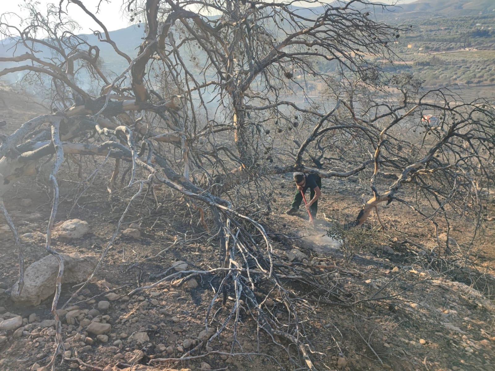 Ένοπλες Δυνάμεις Πυρκαγιές