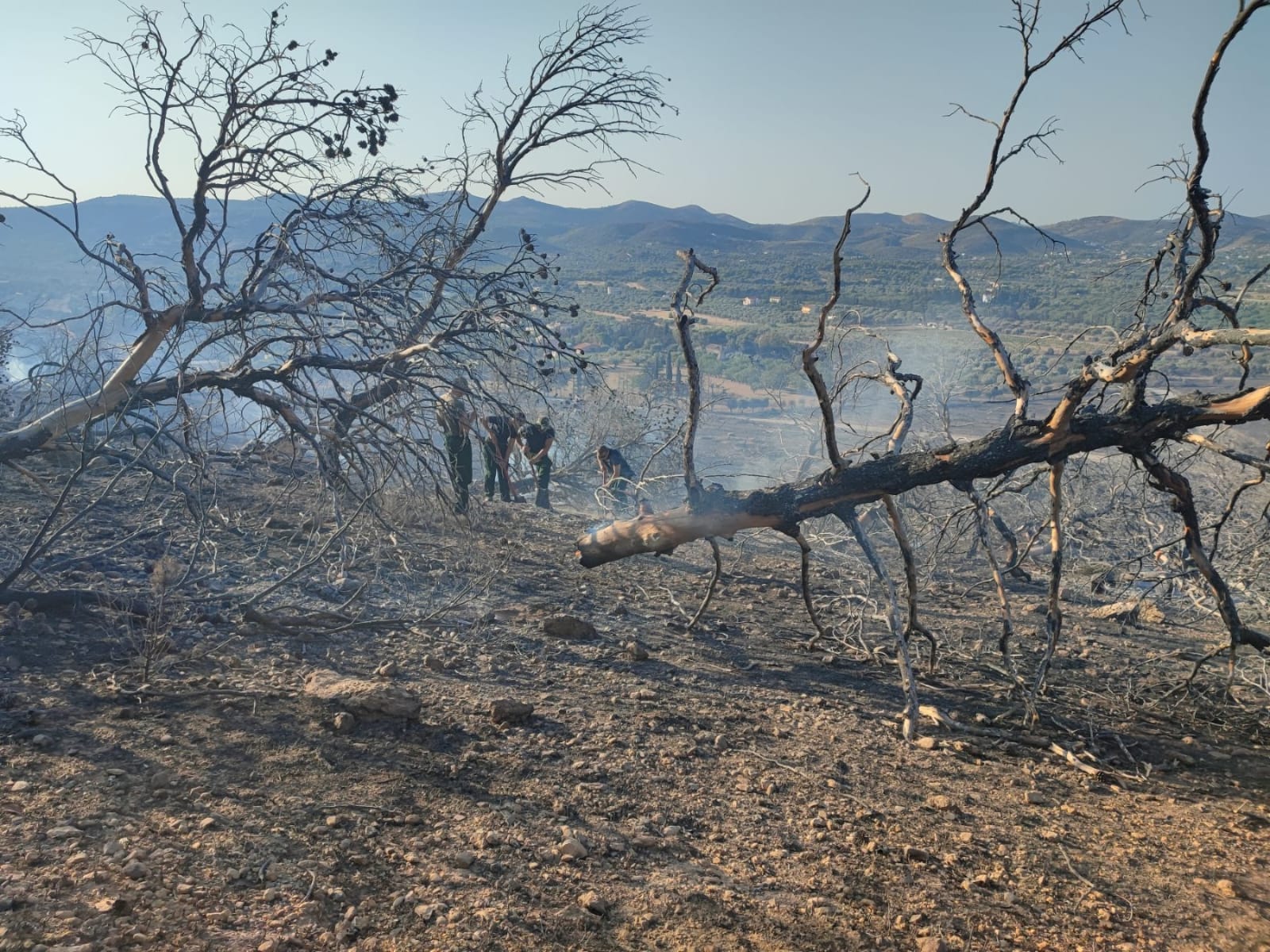 Ένοπλες Δυνάμεις Πυρκαγιές