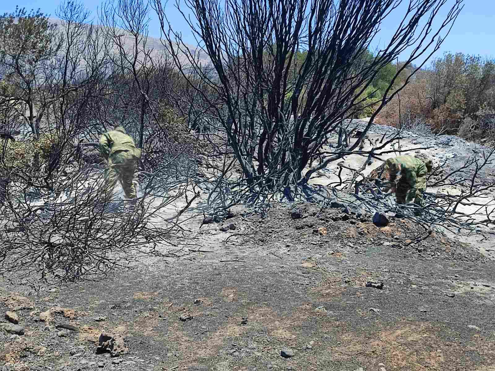 Ένοπλες Δυνάμεις Πυρκαγιές
