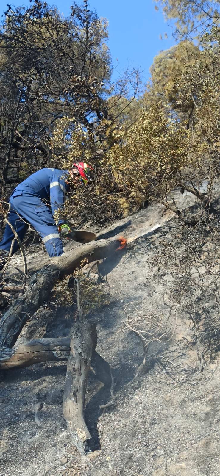 Ένοπλες Δυνάμεις Πυρκαγιές