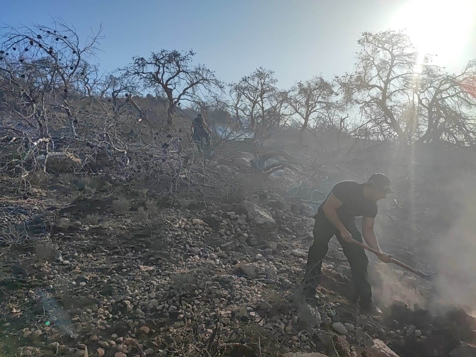 Ένοπλες Δυνάμεις Πυρκαγιές