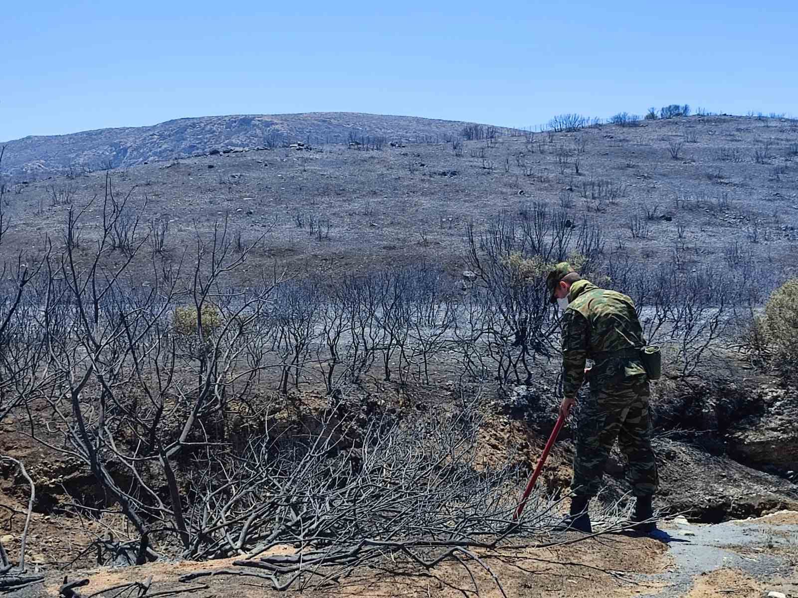 Ένοπλες Δυνάμεις Πυρκαγιές