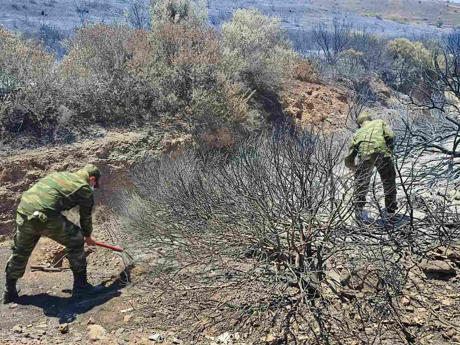 Ένοπλες Δυνάμεις Πυρκαγιές