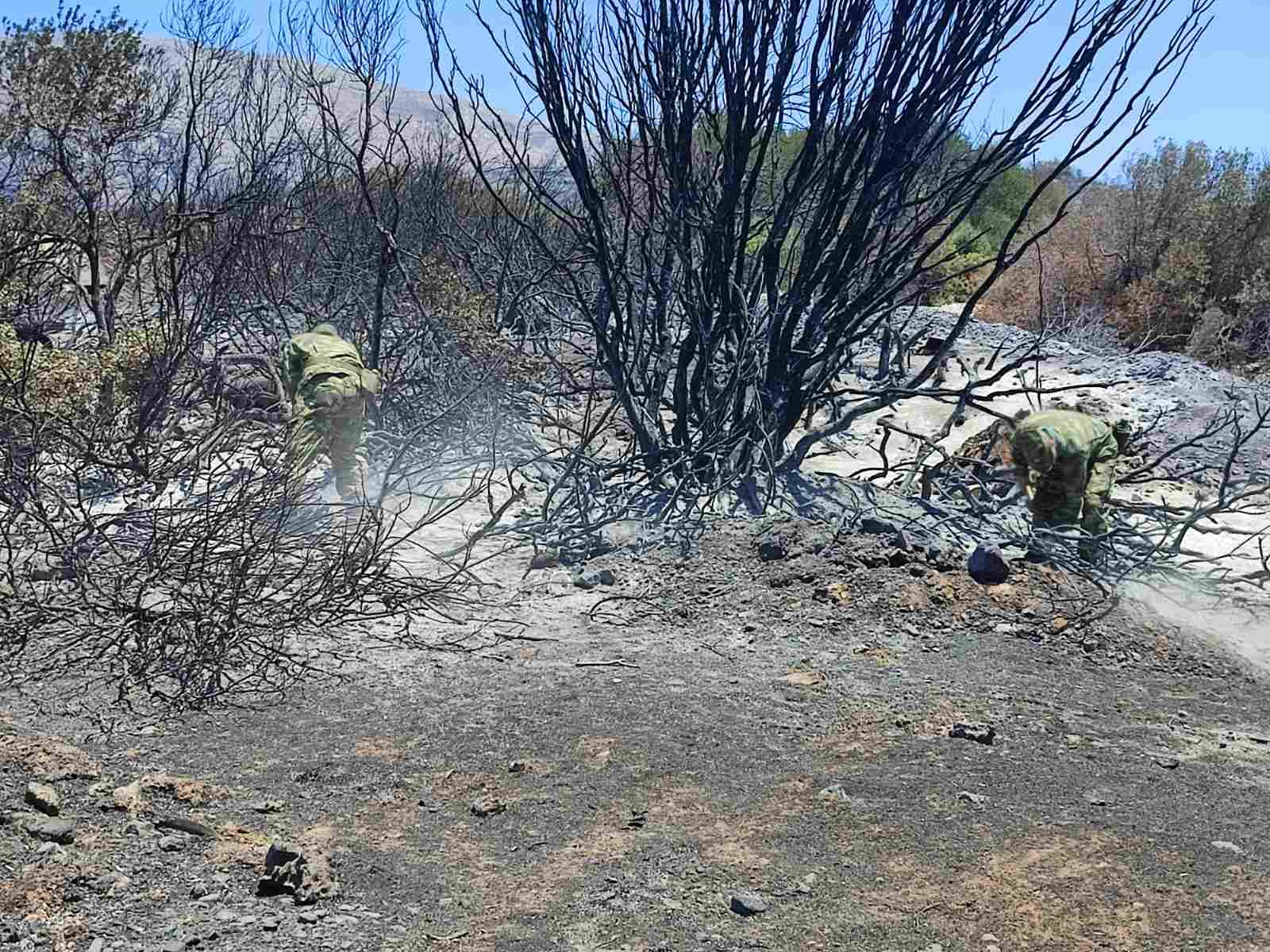 Ένοπλες Δυνάμεις Πυρκαγιές